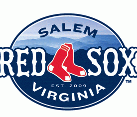 Salem Red Sox 2009-Pres Primary Logo vinyl decal